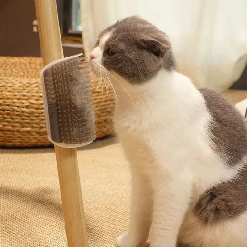 Pet Brush Comb Play Cat Toy Softer Self