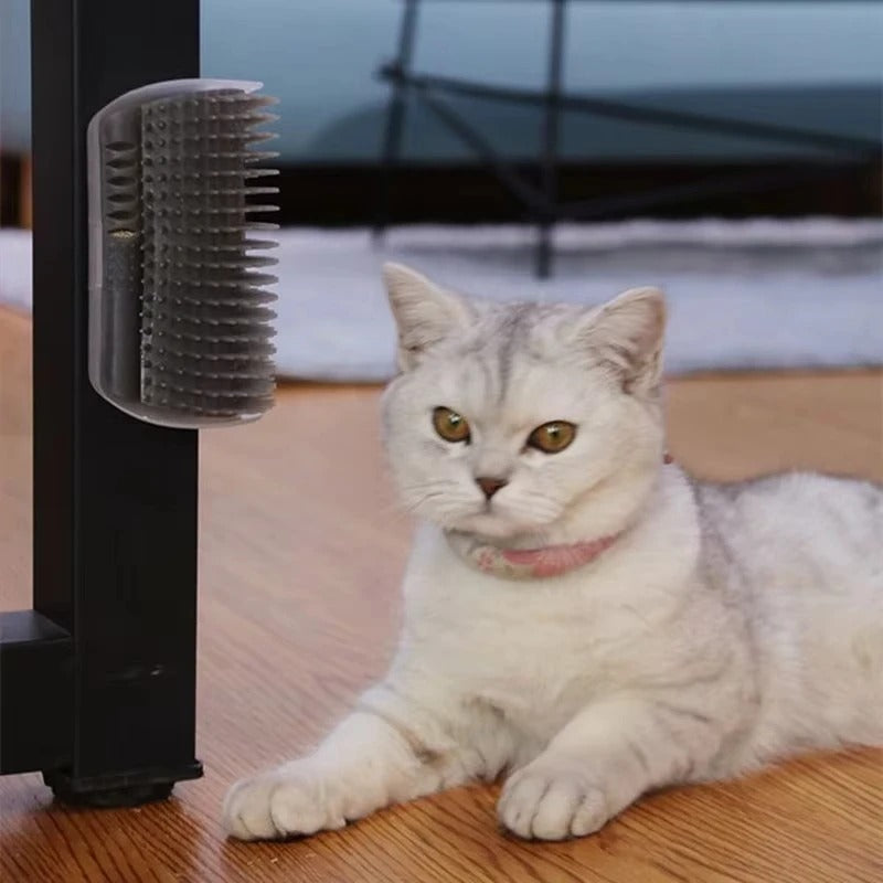 Pet Brush Comb Play Cat Toy Softer Self