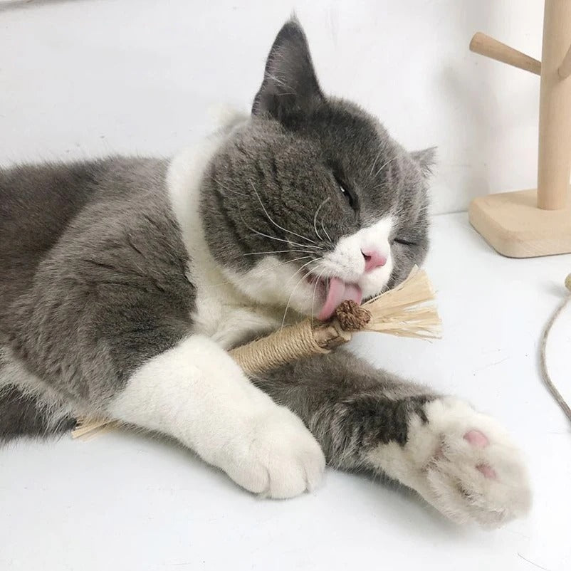 Popular Wood Polygonum Teasing Cat Toy Snacks Self