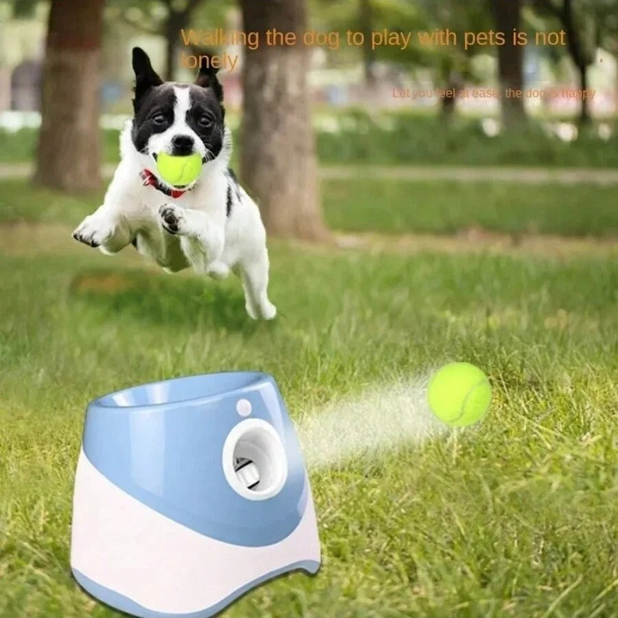 Dog Launcher Automatic Dogs Chase Toy Tennis Throwing