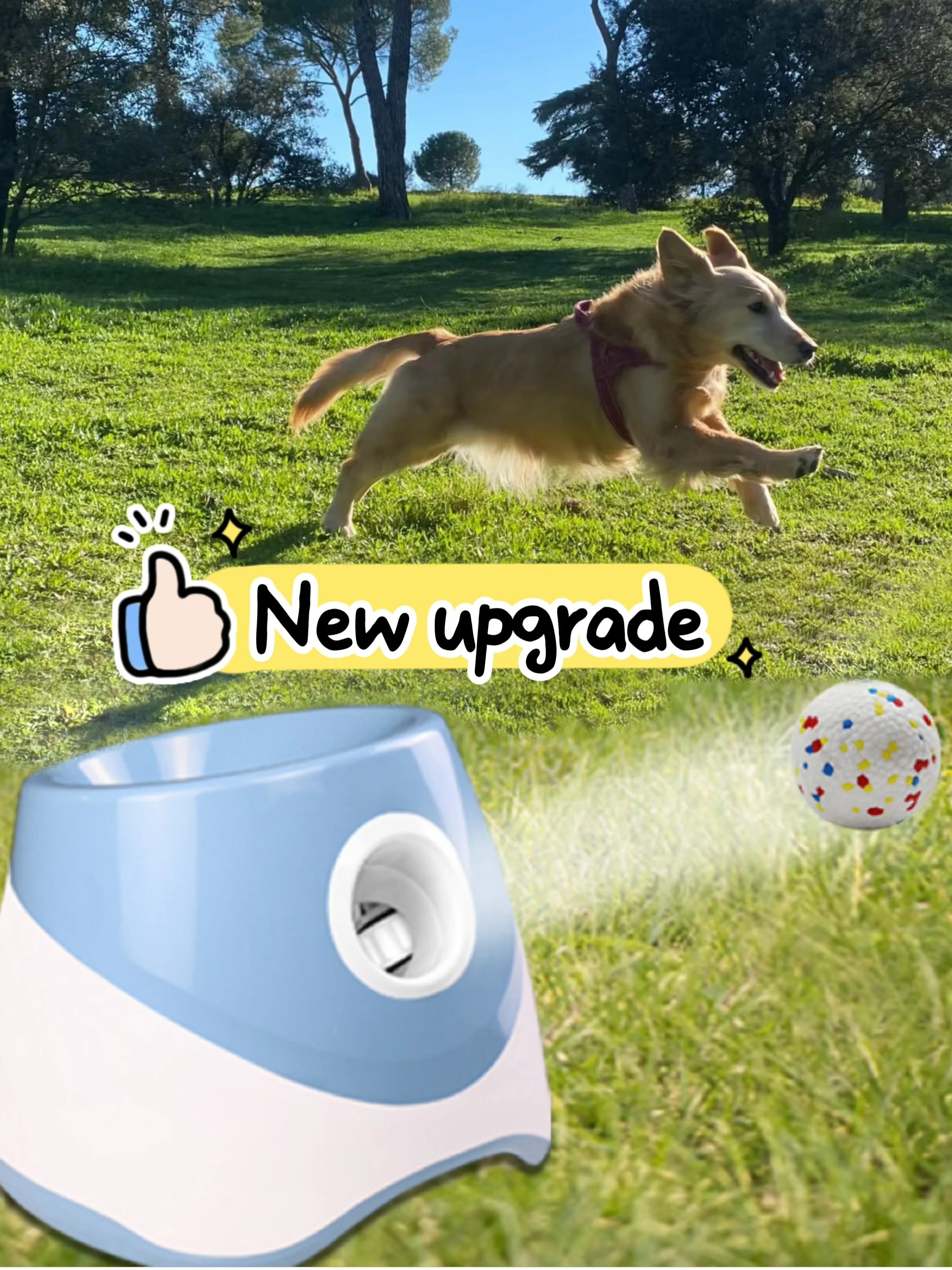Dog Launcher Automatic Dogs Chase Toy Tennis Throwing